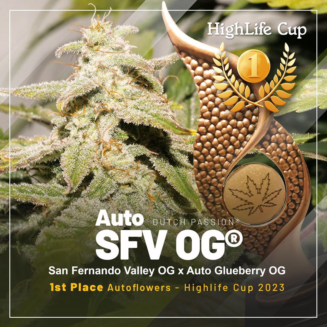 Auto SFV OG coronada como mejor autofloreciente en la HighLife Cup!