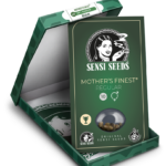 Semillas de marihuana Mother(s Finest de Sensi Seeds